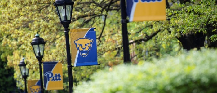 Pitt Panther Flags on campus