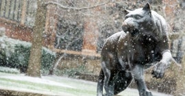 Statue of panther with snow falling