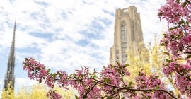 Cathedral of learning in the spring