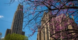 Cathedral in the spring time