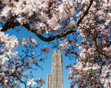 Cathedral of leanring in the spring