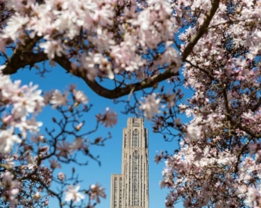 Cathedral of leanring in the spring