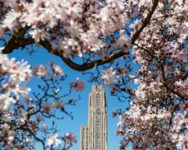 Cathedral of leanring in the spring