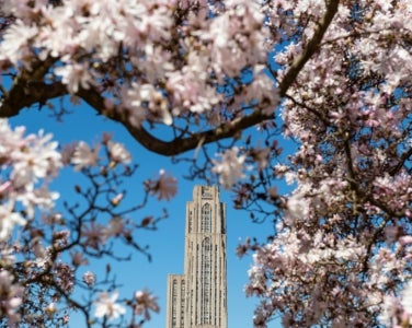 Cathedral of leanring in the spring