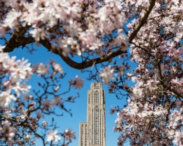 Cathedral of leanring in the spring