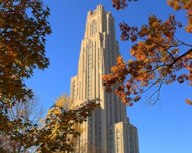 Cathedral in the Fall