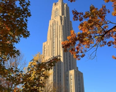 Cathedral in the Fall