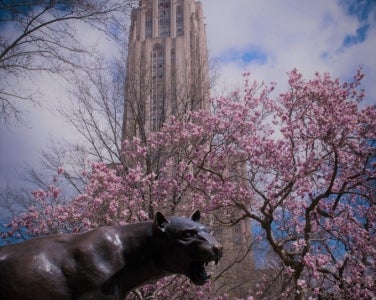 Photo of the Pitt Panther statue with the Cathedral of Learning in the background with pink blooming trees.